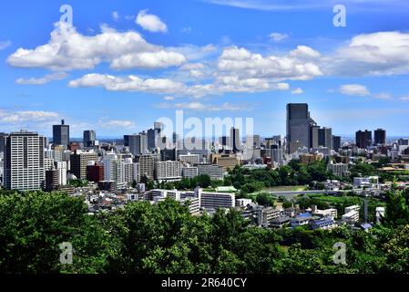 Blick auf die Stadt Sendai von den Burgruinen von Aoba Stockfoto