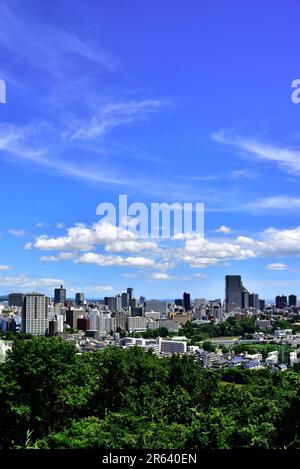 Blick auf die Stadt Sendai von den Burgruinen von Aoba Stockfoto