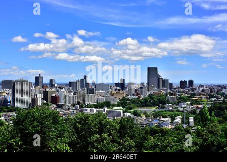 Blick auf die Stadt Sendai von den Burgruinen von Aoba Stockfoto