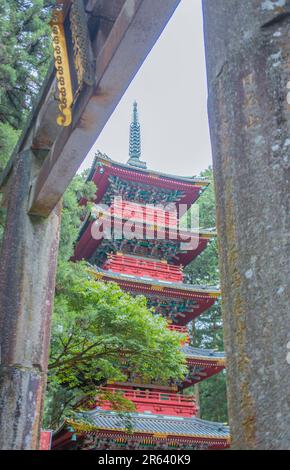 Torii-Tor und fünfstöckige Pagode von Nikko Toshogu Stockfoto