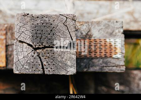 Rostig auf Metallplatte zum Schutz gerissener Bahnschwellen, Gleise, Spalten von Bahnschwellen, Reparatur, selektiver Fokus. Stockfoto