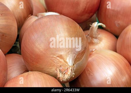 Vollformat-Nahaufnahme von Zwiebeln auf einem Gemüsemarkt Stockfoto