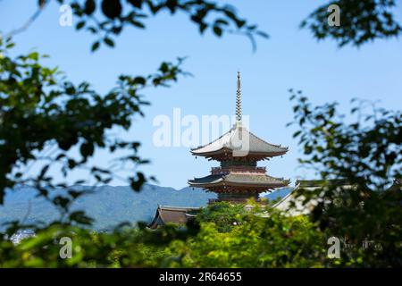 Dreistöckige Pagode des Kiyomizu-dera-Tempels in frischem Grün Stockfoto