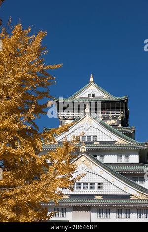 Schloss Osaka und Ginkgo Stockfoto