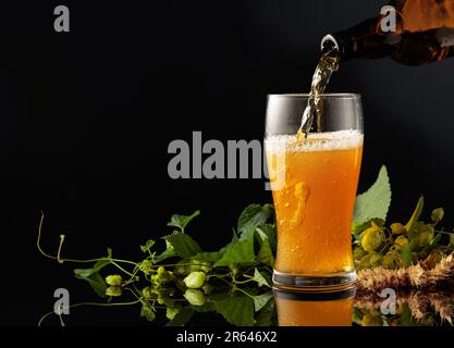 Bier aus einer Flasche in ein Glas gießen. Das Glas Bier mit Hopfen auf schwarzem reflektierendem Hintergrund. Speicherplatz kopieren. Stockfoto