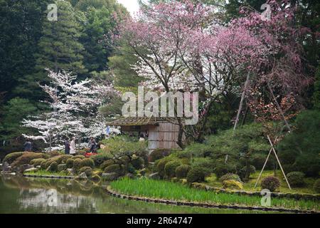Soryu-ike-Teich im Naka-shinen-Garten des Heian-Jingu-Schreins Stockfoto