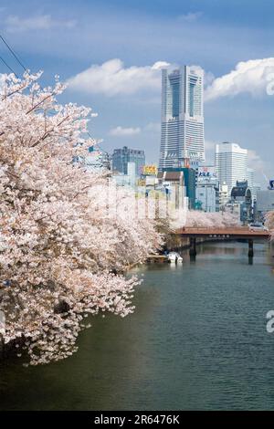 Ooka River und Landmark Tower Stockfoto