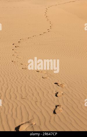 Fußabdrücke auf den Tottori Sanddünen Stockfoto