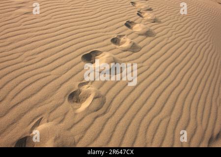 Fußabdrücke auf den Tottori Sanddünen Stockfoto