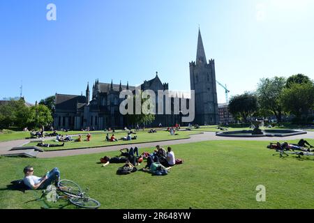 St. Patrick's Park an der St. Patrick's Cathedral in Dublin, Irland. Stockfoto