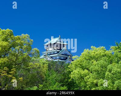 Schloss Osaka in frischem Grün Stockfoto