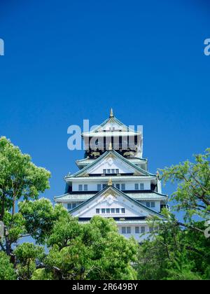 Schloss Osaka in frischem Grün Stockfoto