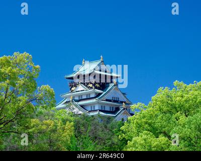 Schloss Osaka in frischem Grün Stockfoto