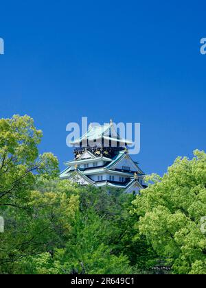 Schloss Osaka in frischem Grün Stockfoto