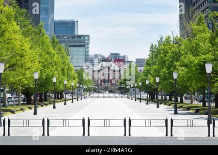 Gyoko-dori Avenue, Kaiserpalast Stockfoto