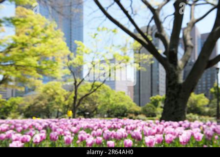 Hibiya-Park mit Blumen und frischem Grün Stockfoto