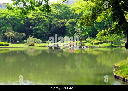 Rikugien Park in frischem Grün Stockfoto