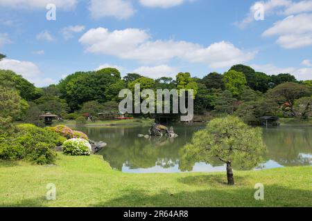 Rikugien in frischem Grün Stockfoto