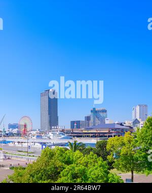 Frisches Grün, blauer Himmel und Hafenland Stockfoto