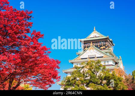 Schloss Osaka und Herbstblätter Stockfoto