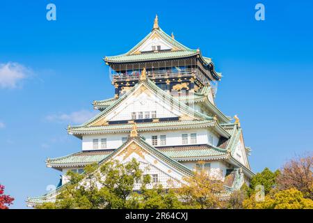 Schloss Osaka und Herbstblätter Stockfoto