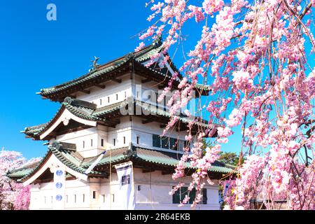 Schloss Hirosaki und Kirschblüten Stockfoto