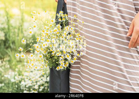 Eine schwarze Tasche mit einem Strauß Gänseblümchen im Feldhintergrund Stockfoto