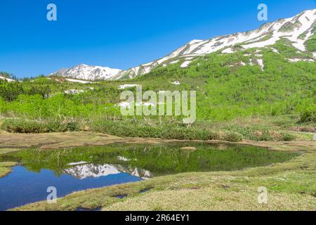 Tsugaike Nature Park Ukishima Marshland und Hakuba Sanzan Stockfoto