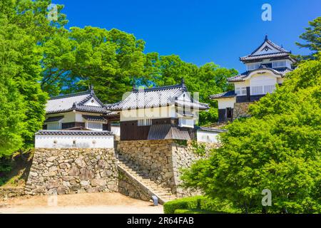 Bitchu Matsuyama Castle Stockfoto