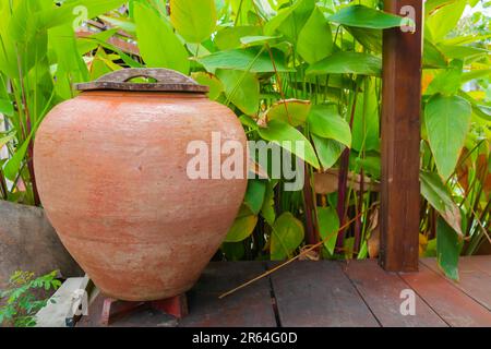 Erdglas auf Holzterrasse mit Baumhintergrund. Stockfoto