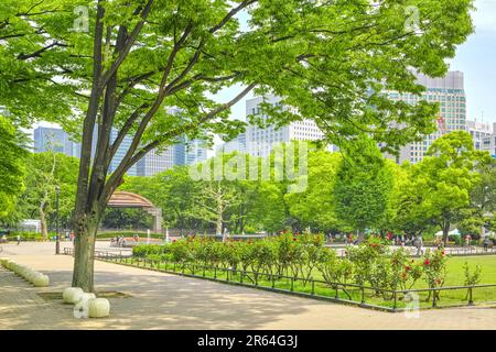 Frisches Grün im Hibiya Park Stockfoto