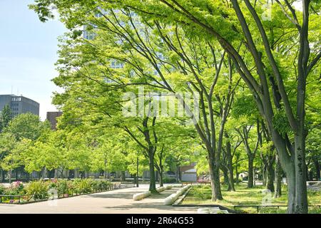 Frisches Grün im Hibiya Park Stockfoto