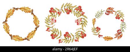 Abgelegene Kränze im Herbst mit Eichenblättern, Eichenblättern und Eicheln auf weißem Hintergrund. Saisonale Herbstelemente. Thanksgiving, Halloween krank Stockfoto