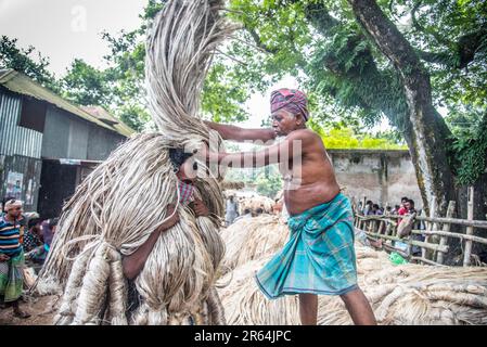 Manikganj, Dhaka, Bangladesch. 7. Juni 2023. Arbeiter verarbeiten Jutepakete auf einem Großhandelsmarkt im Bezirk Manikganj in Zentralbangladesch am 3. Oktober 2021. Jute gilt in Bangladesch noch immer als die „goldene Faser“. Der Großhandelsmarkt, etwa 63 km nordwestlich der Hauptstadt Dhaka, ist angesichts der Juteernte mit Käufern und Verkäufern überschwemmt. (Kreditbild: © Mustasinur Rahman Alvi/ZUMA Press Wire) NUR REDAKTIONELLE VERWENDUNG! Nicht für den kommerziellen GEBRAUCH! Stockfoto