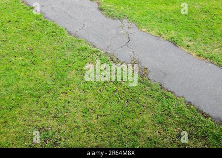 Parkweg, asphaltierte Fußgängerstraße führt über grünen Rasen, abstraktes Hintergrundfoto Stockfoto