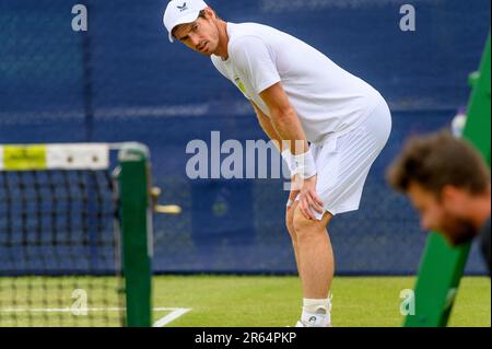 Andy Murray (GBR) auf dem Übungsgericht der Surbiton Trophy, London, 6. Juni 2023 Stockfoto