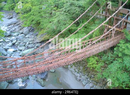 Kazura-Brücke in Iya am Morgen Stockfoto