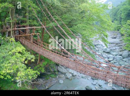 Kazura-Brücke in Iya am Morgen Stockfoto