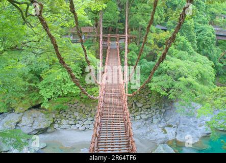 Kazura-Brücke in Iya am Morgen Stockfoto