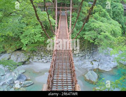 Kazura-Brücke in Iya am Morgen Stockfoto