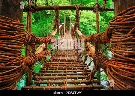 Kazura-Brücke in Iya am Morgen Stockfoto