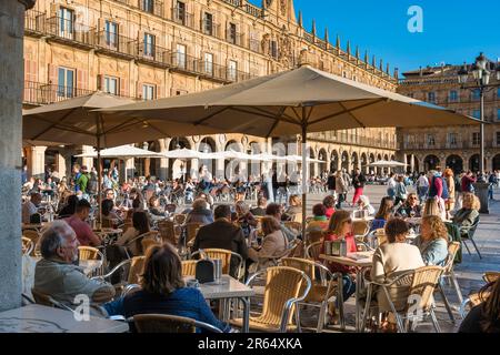 Touristen aus Europa, im Sommer können Sie die Leute beobachten, die sich an den Kaffeetischen auf der Plaza Mayor in der historischen Barockstadt Salamanca, Spanien, entspannen Stockfoto