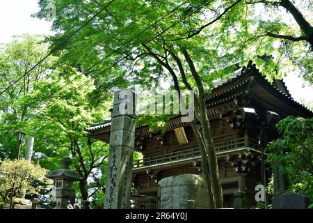 Tor des Mt. Takao Stockfoto