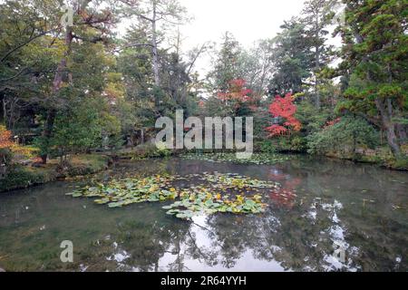 Teich im Kenrokuen Garden Stockfoto