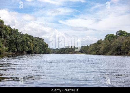 Essequibo River, Iwokrama Regenwald, Potaro-Siparuni, Guyana. Stockfoto