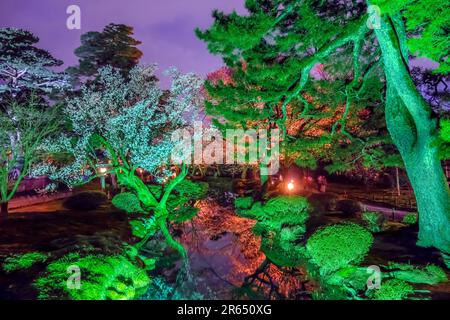 Nachtblick auf Kyokusui in Kenrokuen Stockfoto