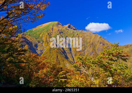 Mt. Tanigawa im Herbst aus Tenjin-daira gesehen Stockfoto