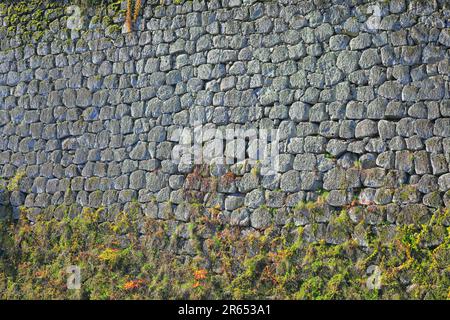 Burgmauer des Schlosses Aizu Wakamatsu Stockfoto