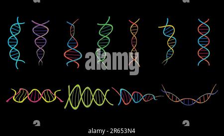 Ein Satz von vier mehrfarbigen wunderschönen medizinisch-wissenschaftlichen verdrehten Strukturen von Spiralen abstrakter Modelle von dna-Genen auf schwarzem Hintergrund. Vektor il Stock Vektor