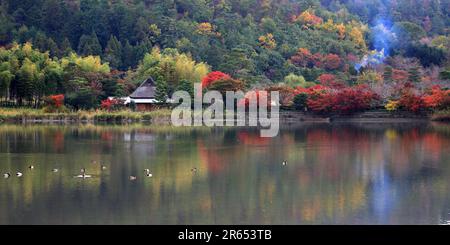Herbstblätter aus Hirosawa-Teich Stockfoto